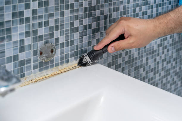 Best Commercial Mold Removal  in Eagle, NE